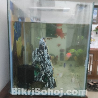 Only Aquarium will sell